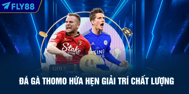 Đá gà Thomo hứa hẹn giải trí chất lượng